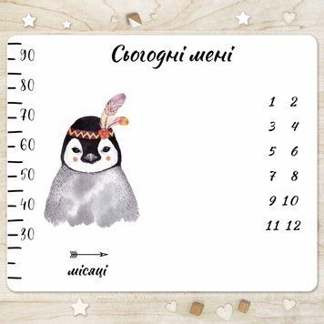 Фотопелюшка на габардині для новонародженних з віконцем для місяців "Пінгвін індіанець" ФЧ210 фото